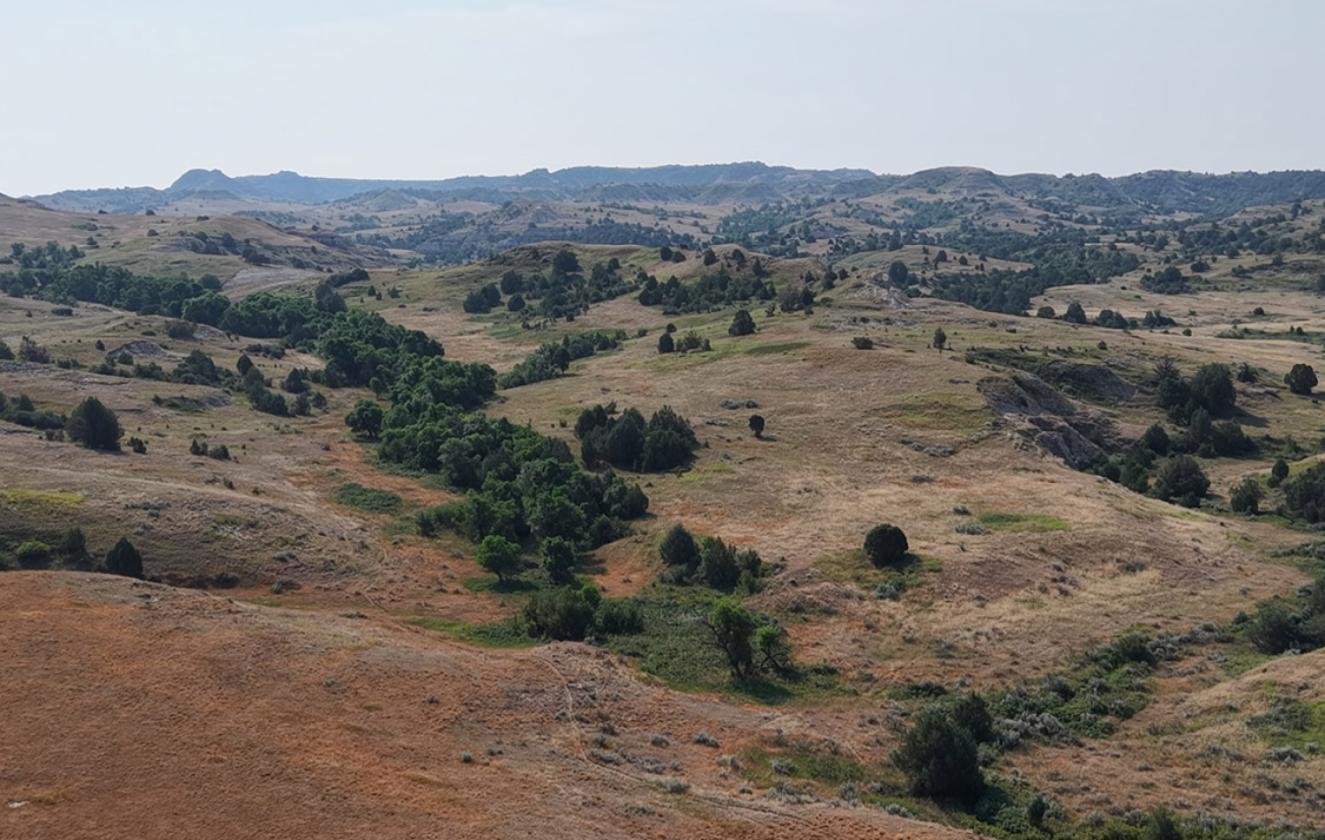 Davis Creek Ranch - photo 2