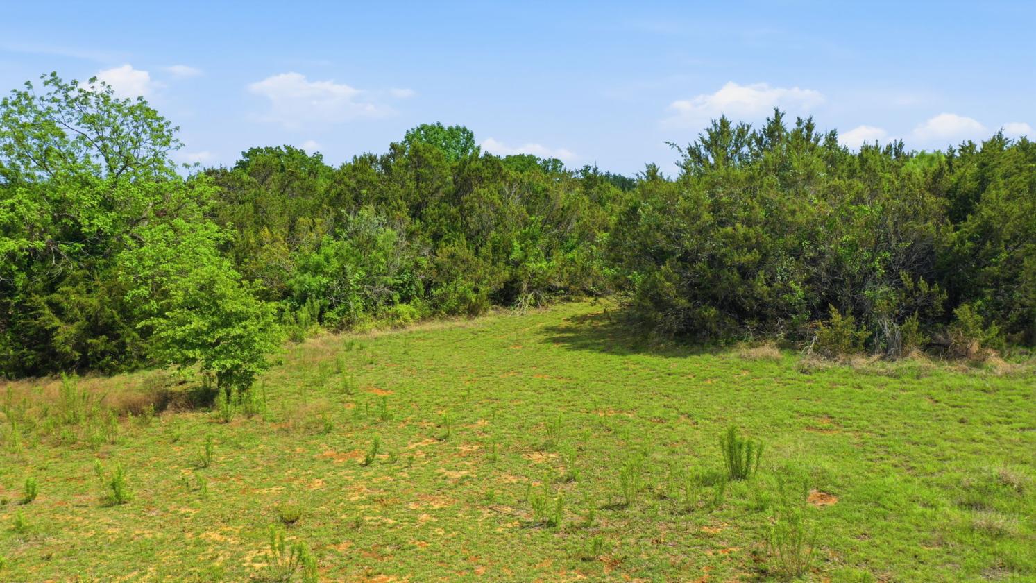 12-Acre Ag-Exempt Property - photo 14