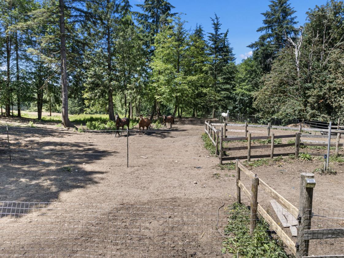 Bring Your Horses, Goats & Gardening Dreams - photo 8
