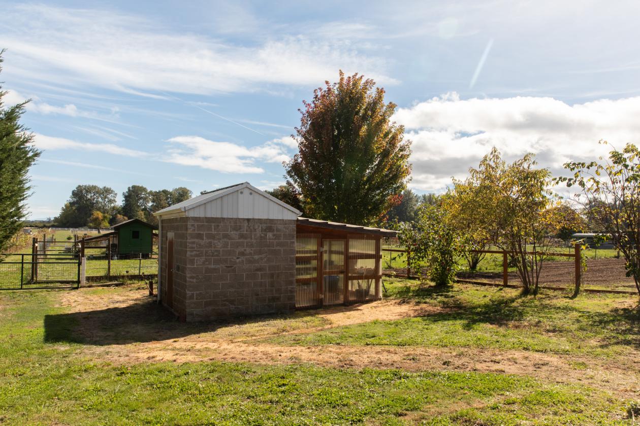 The Ultimate Horse Property with Indoor Arena - photo 29