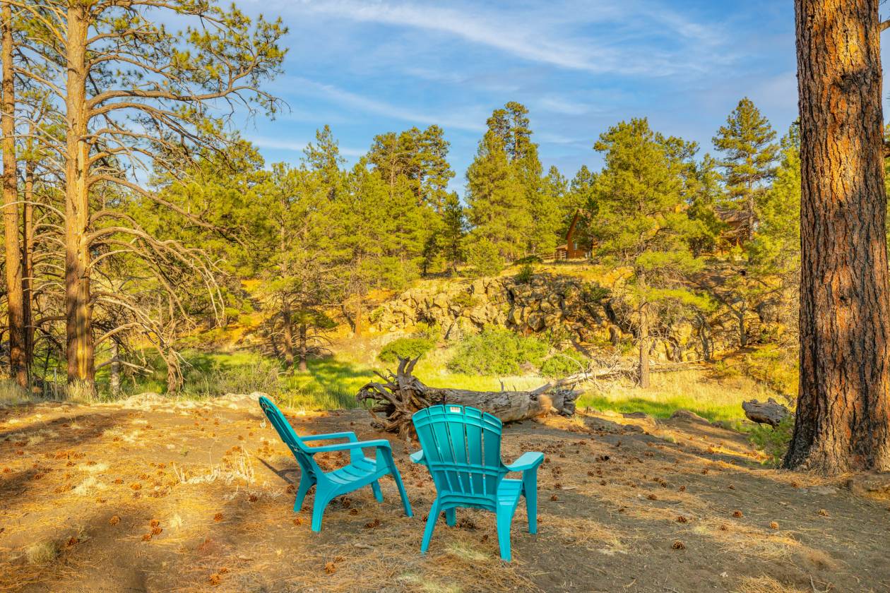 Horse Property for sale.