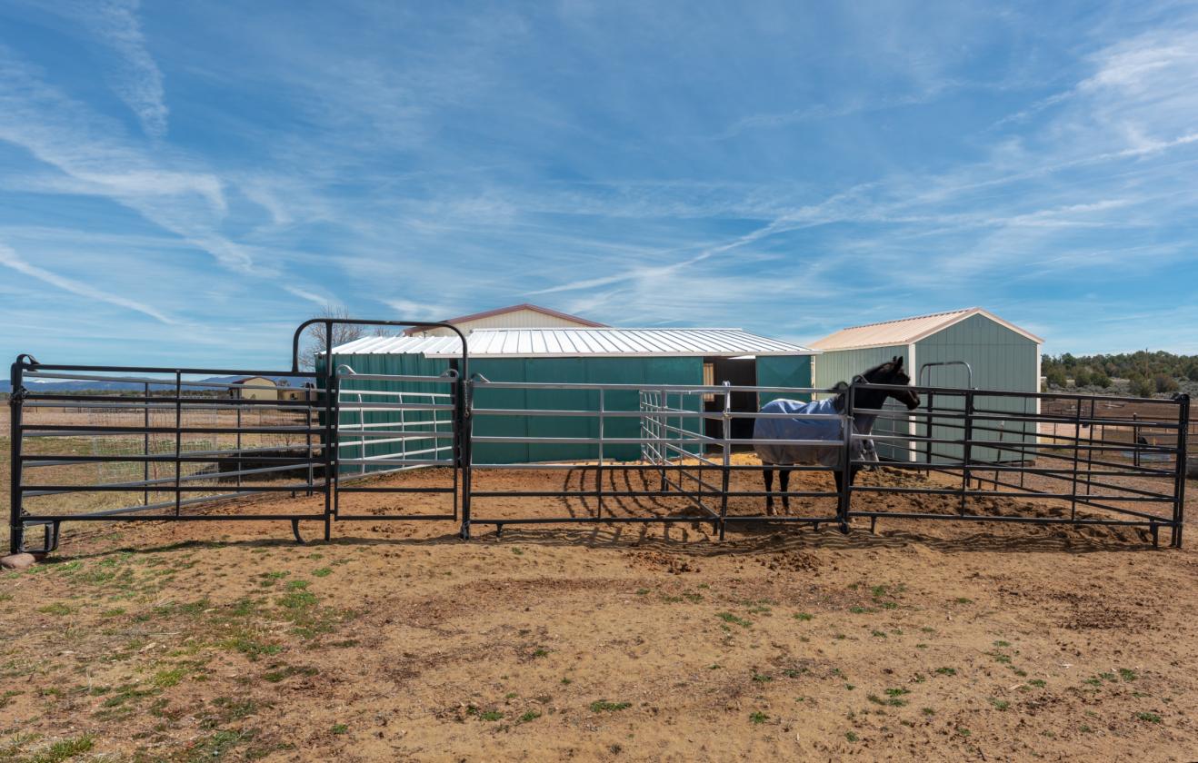 Beautiful All New Horse Property - photo 26