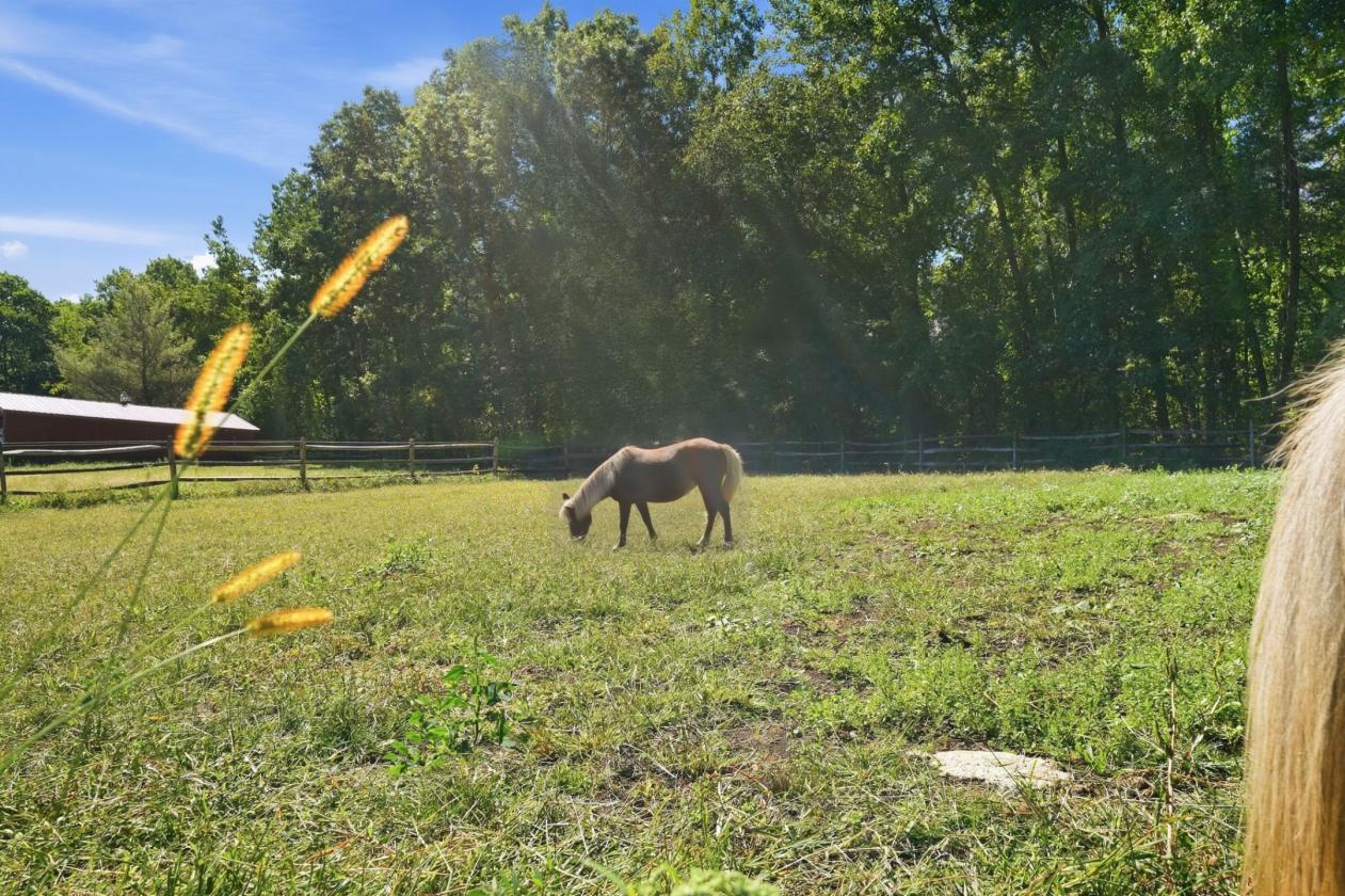Equestrian Estate with indoor and outdoor arenas - photo 23