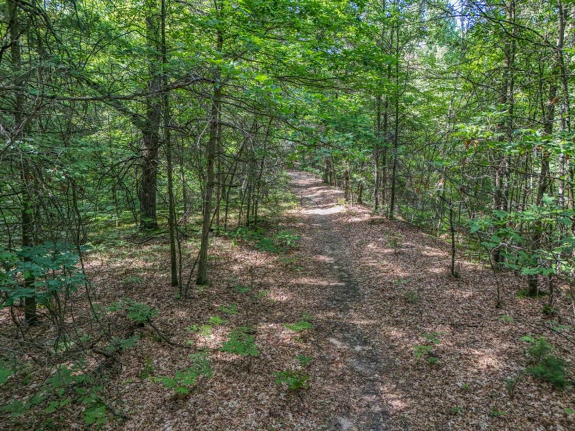 82 acres with 2,800 public land attached! - photo 28