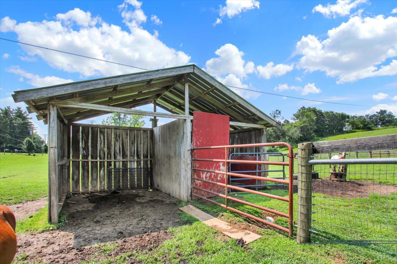 Central Maryland Small Horse Farm - photo 25