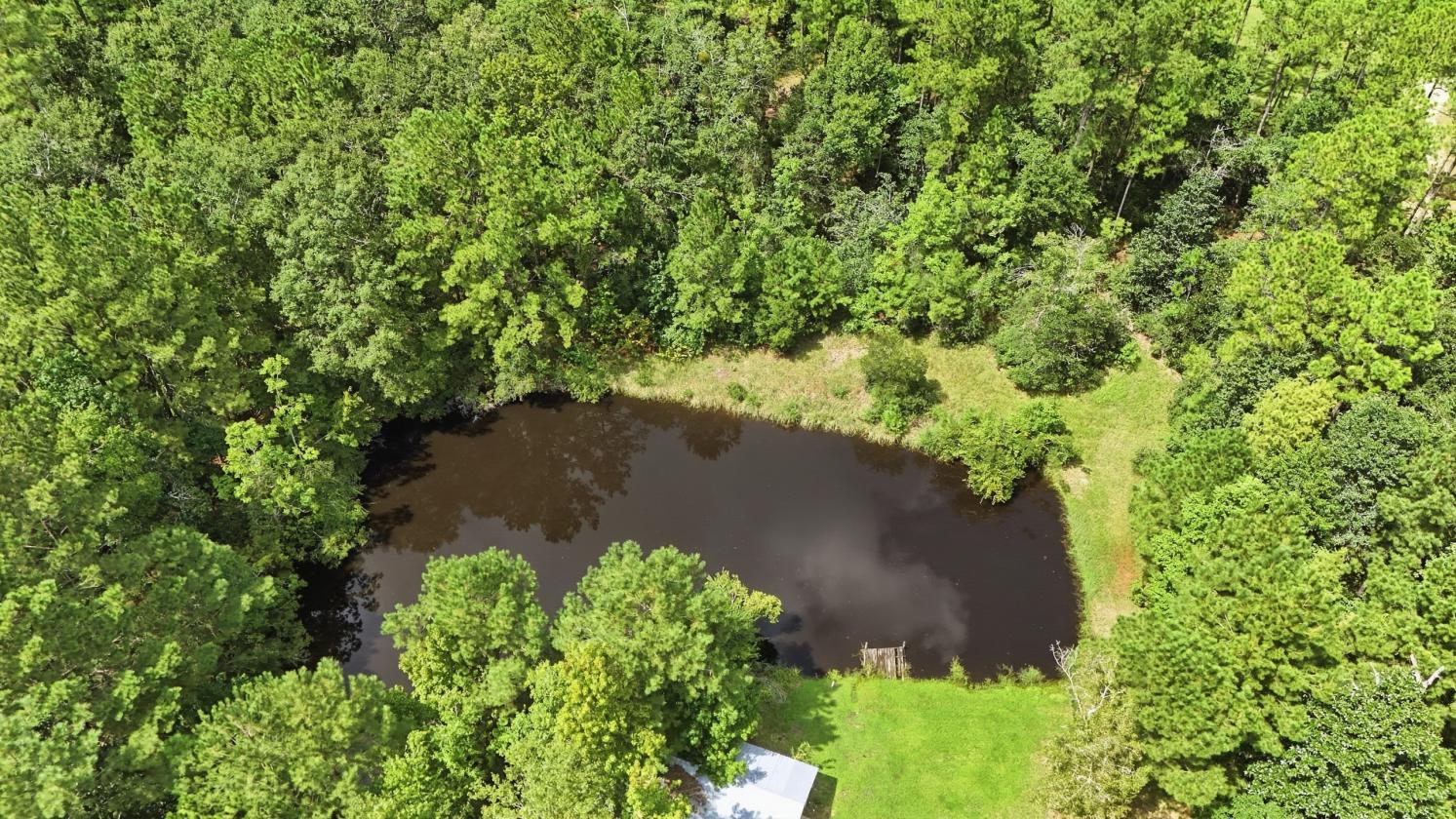 14.5 acres in South Mississippi: 5ba/5ba 2019 - photo 6