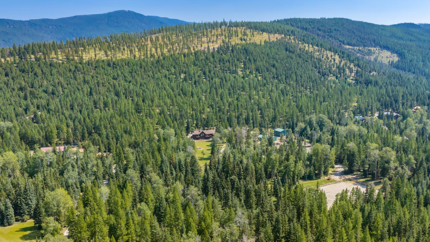 Wild Bill Creek Enclave - photo 26