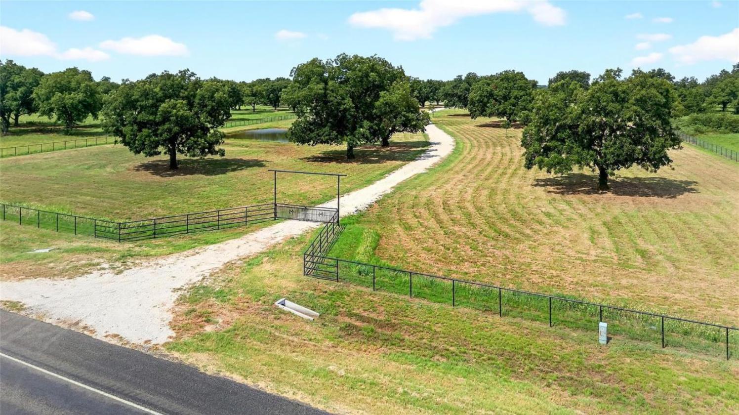 11 Acres of Pecan Trees - photo 14