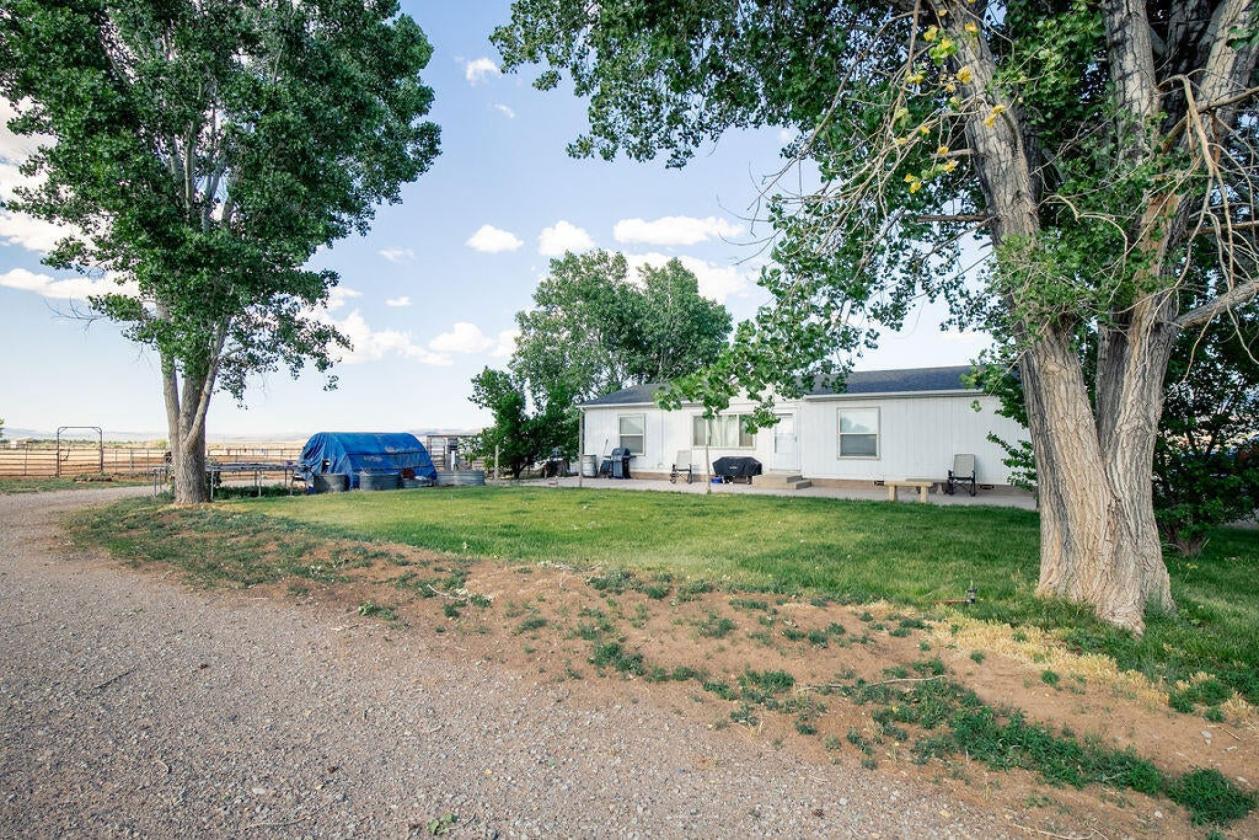 19.64 Acre Horse Property w/ Home and Outbuildings - photo 8