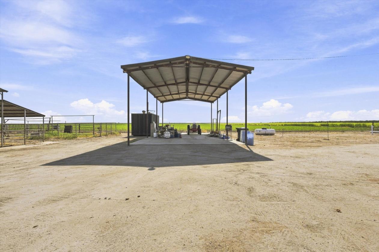 Luxury equestrian estate with a large riding arena - photo 4
