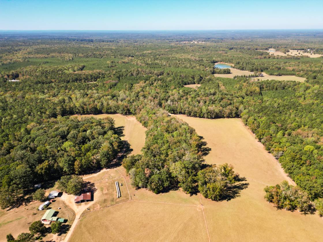 Tall Oaks Farm - photo 22
