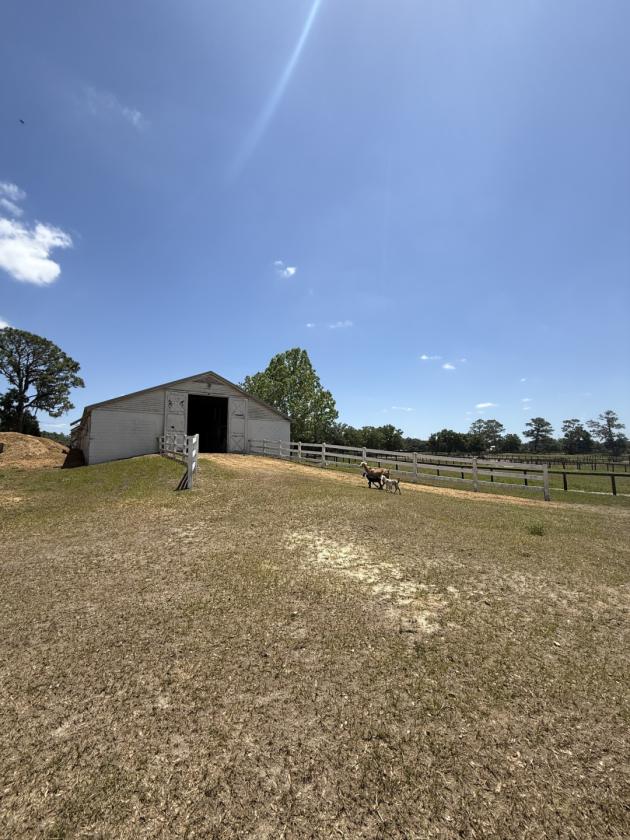 Tiffany Farm - 108 Acres - photo 15