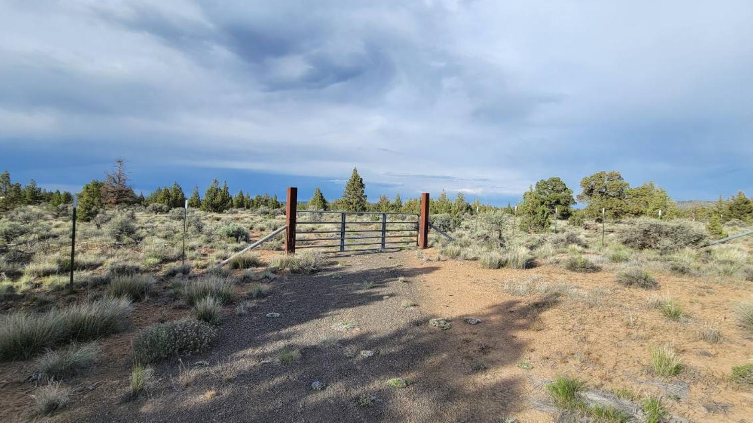 9.8 Buildable acres / Cross fenced - photo 4
