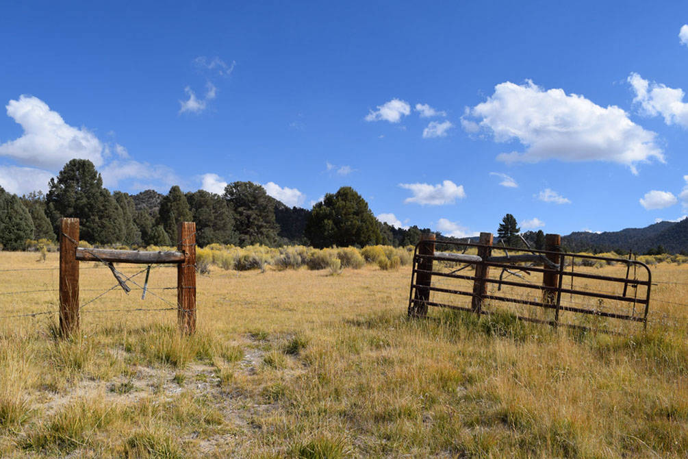 Beautiful Southern California Ranch Living, 40 acres with House and