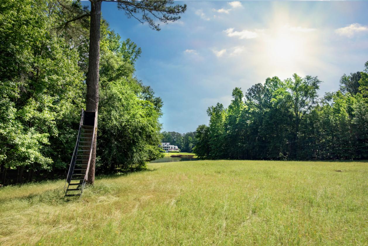 1028 ACRES - SPORTING/EQUESTRIAN - photo 4