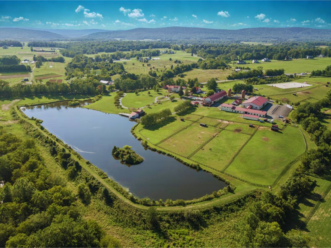 Horse Property for sale.