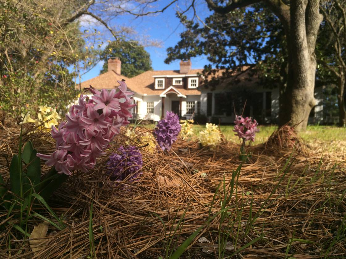 Historic Manor just outside of Pinehurst Ellerbe, Richmond County