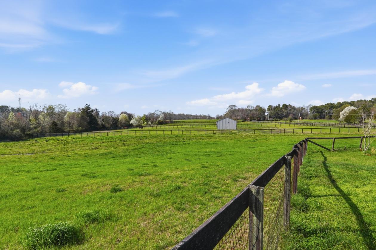 Premier 51± Acre Equestrian Opportunity - photo 25