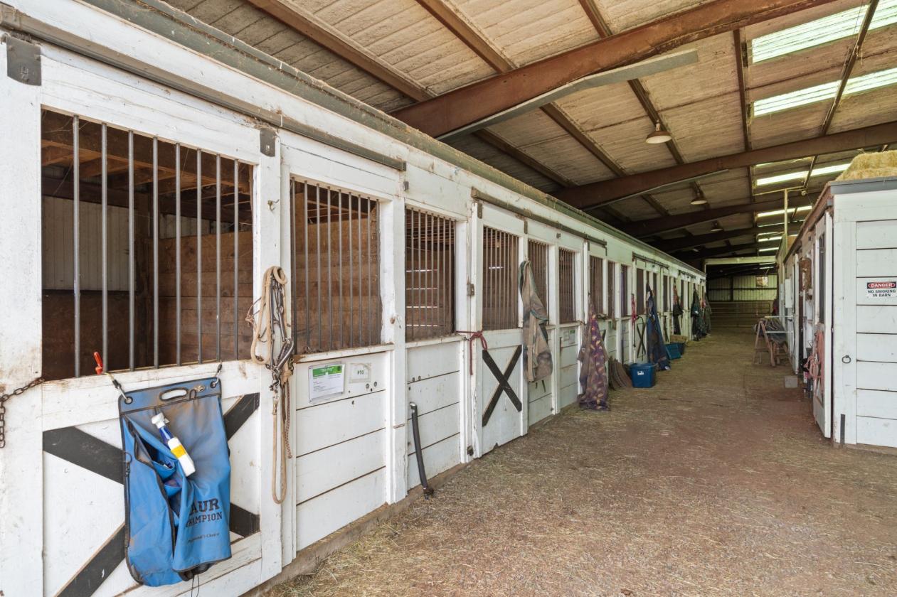 72 Acre Equestrian Estate - photo 23