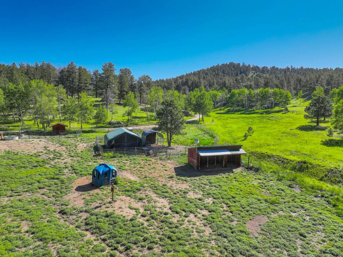 MAGICAL PINE & TINES RANCH - photo 32