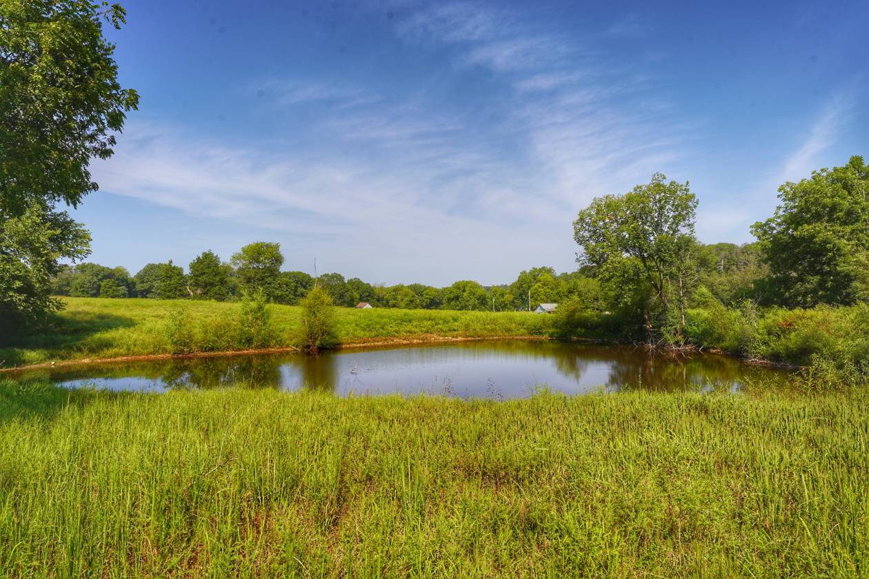 Legacy Northwest Arkansas Acreage - photo 24
