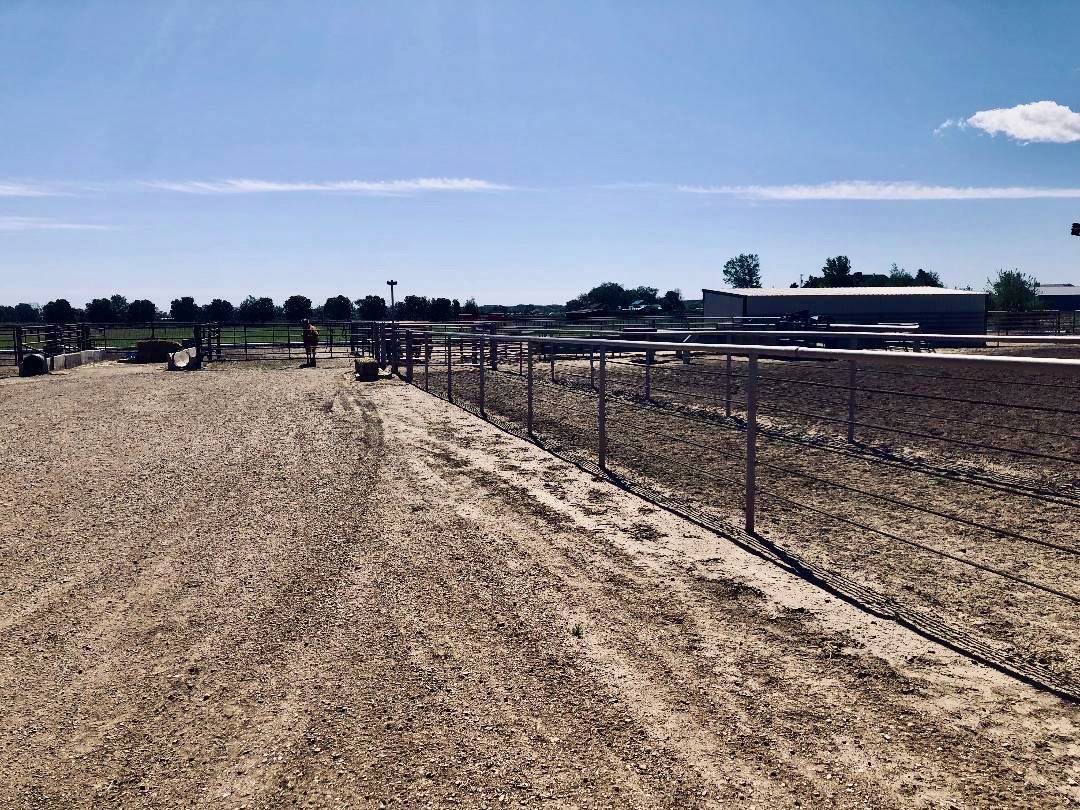 FANTASTIC HORSE PROPERTY IN THE BANANA BELT OF COLORADO! Pueblo