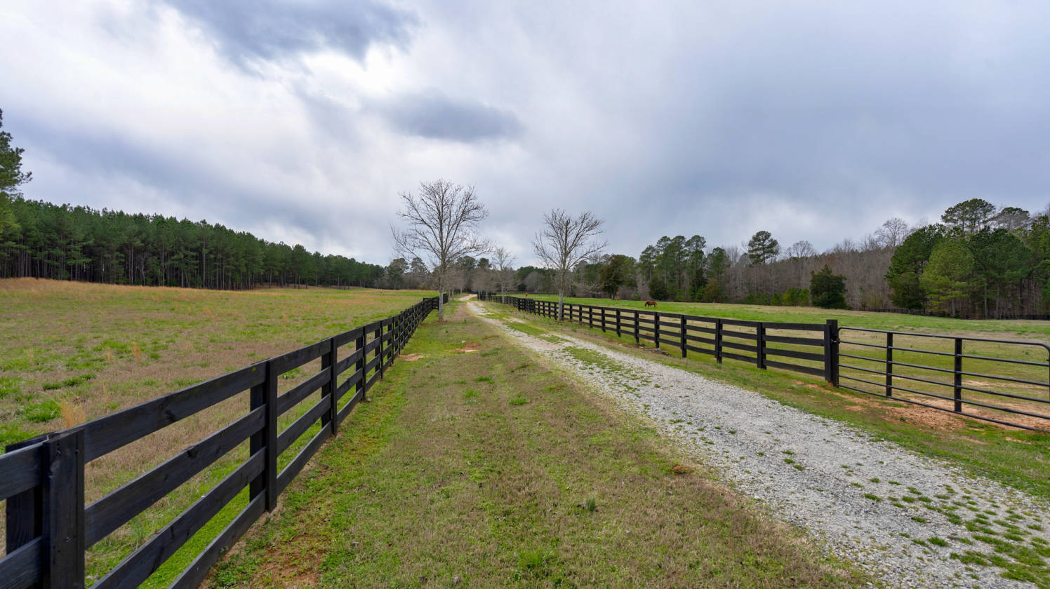 Picture Perfect Equestrian Farm in County Madison, County,