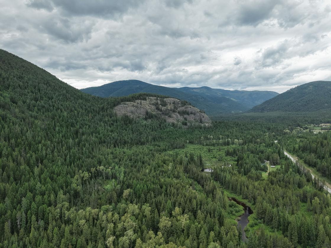 A Rare Opportunity to Own 155 acres - photo 9