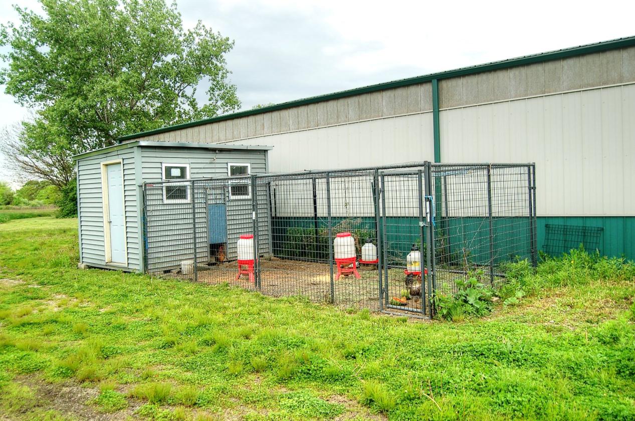 Morris horse farm with heated stable & Indoor - photo 21