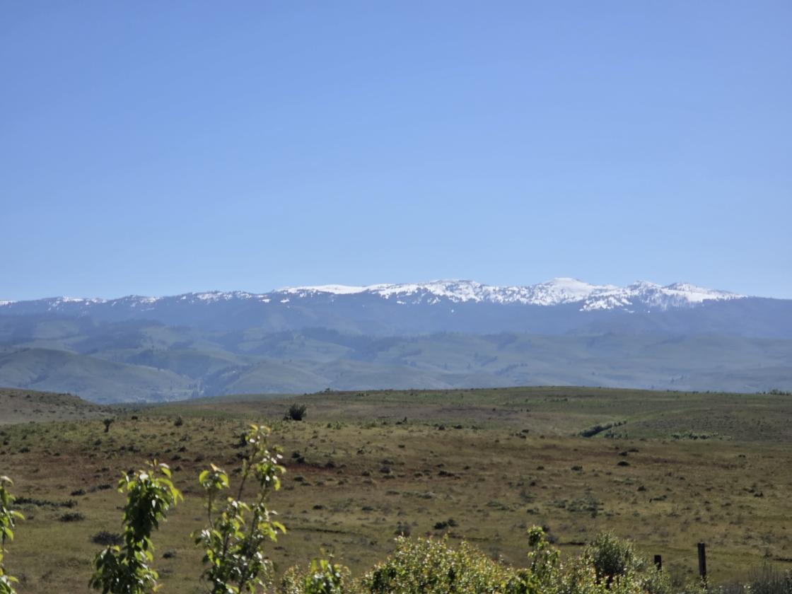 Exceptional 230± Acre Ranch - photo 30