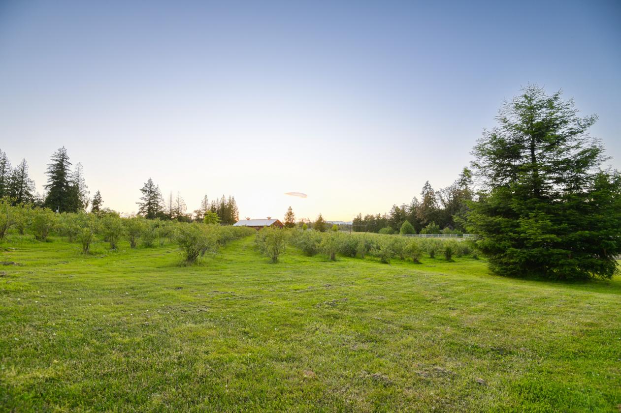 Legacy Equestrian Estate | 66.3 Acres Near T-Bird - photo 23