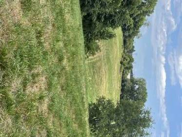 Property image.