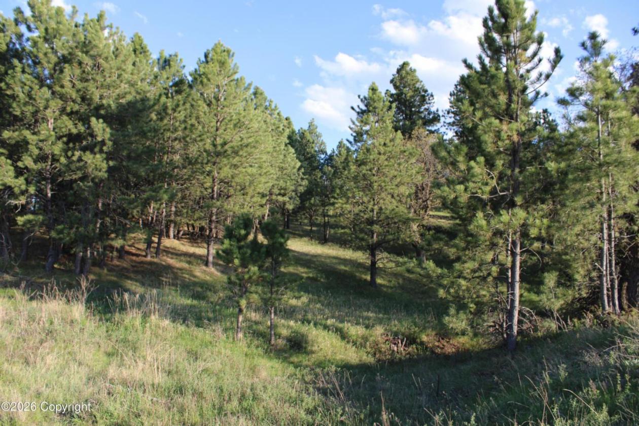 WY Horse Property with Views and NO Covenants! - photo 16