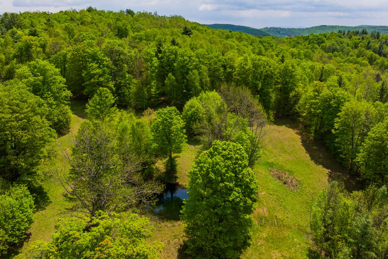 Private 54 Acre In the heart of VT Horse Country - photo 5