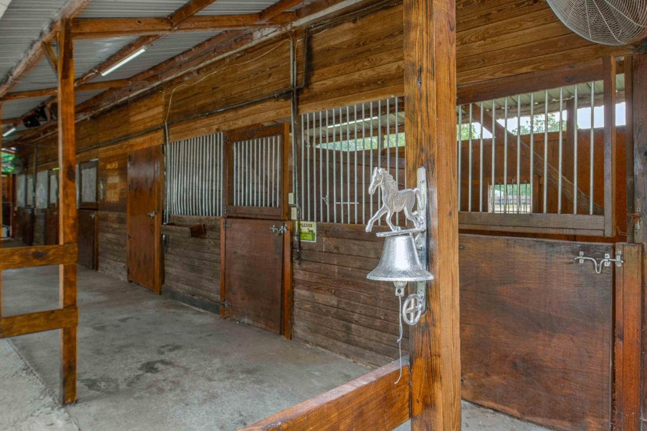 14 Acre Working Horse Farm Outside of Charleston - photo 12