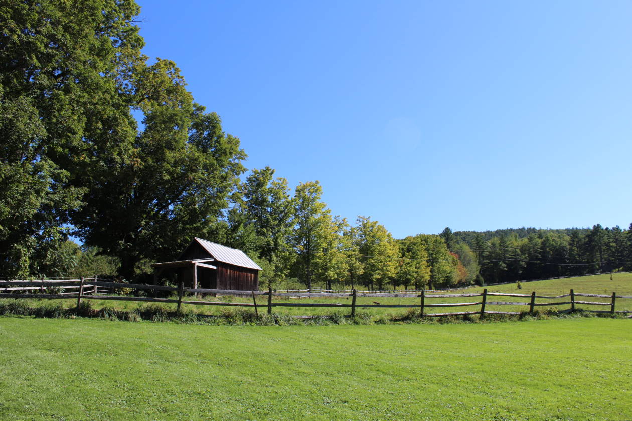 White Swan Farm Cornish, Sullivan County, New Hampshire Horse