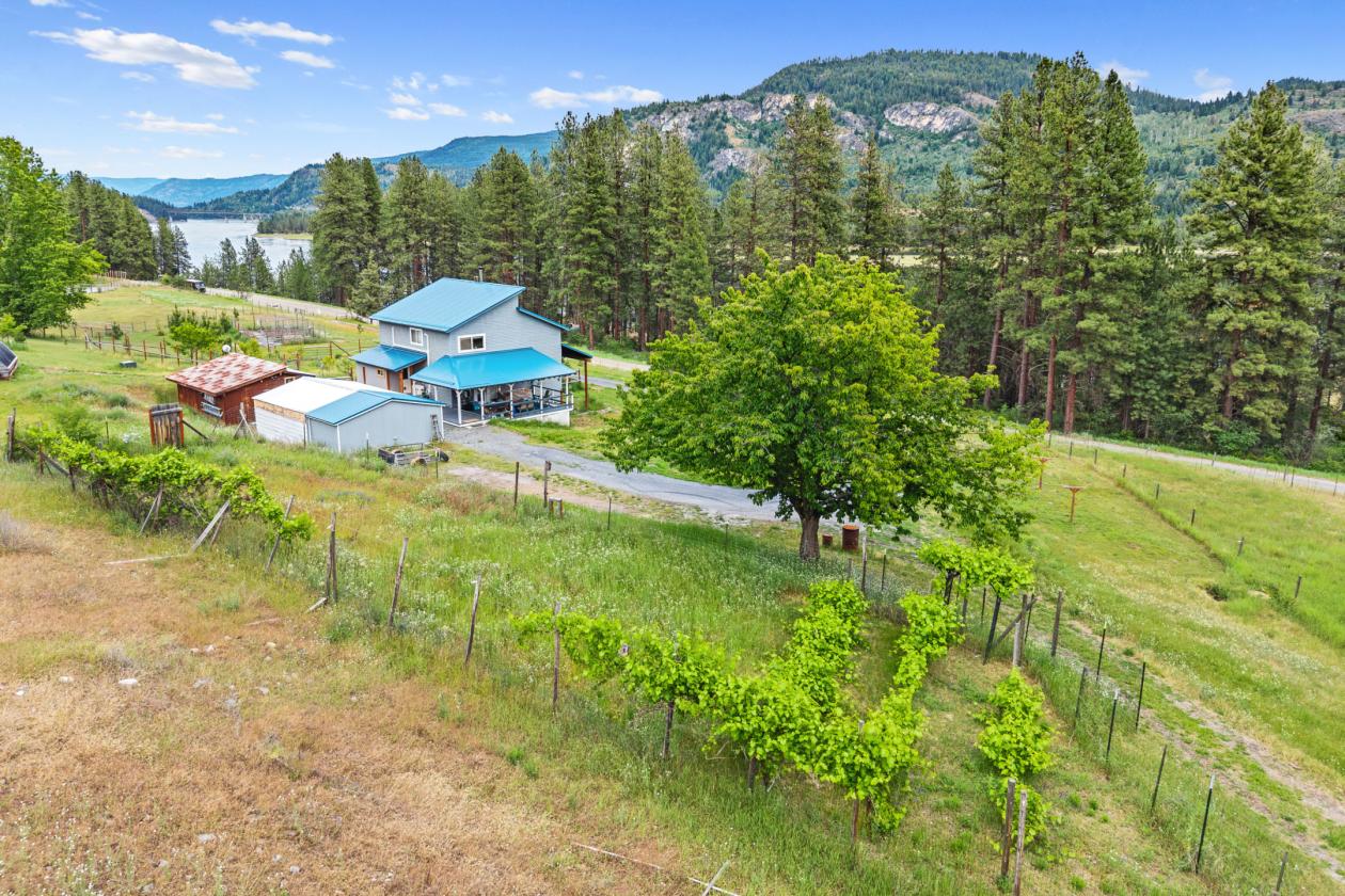 Columbia River views on 14 acres w/room for horses - photo 24