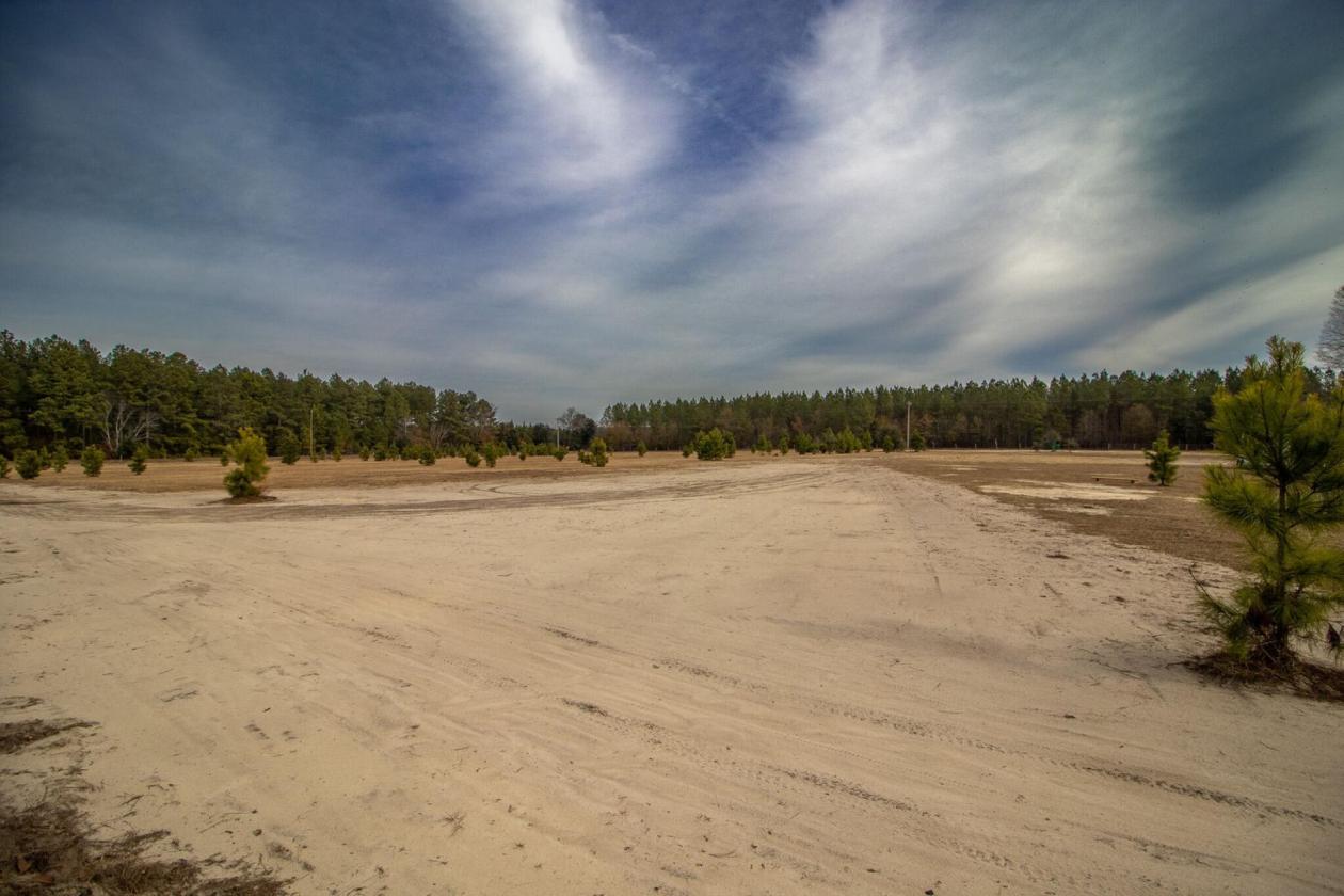 Affordable Horse Farm on 13 acres in Aiken County - photo 13