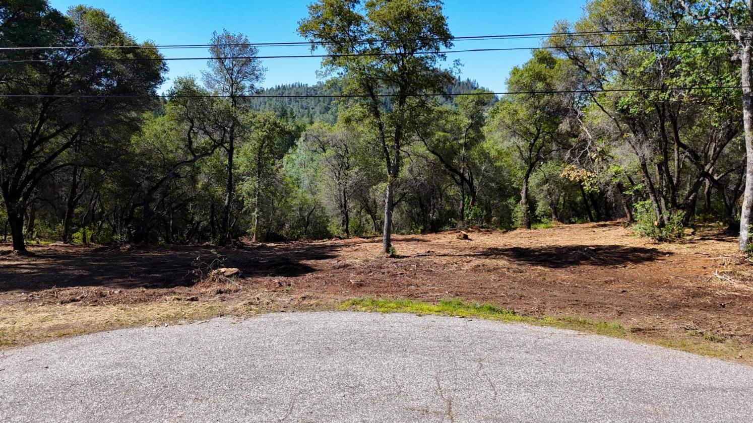 Your 5 Acre Sanctuary in Equestrian Community - photo 5