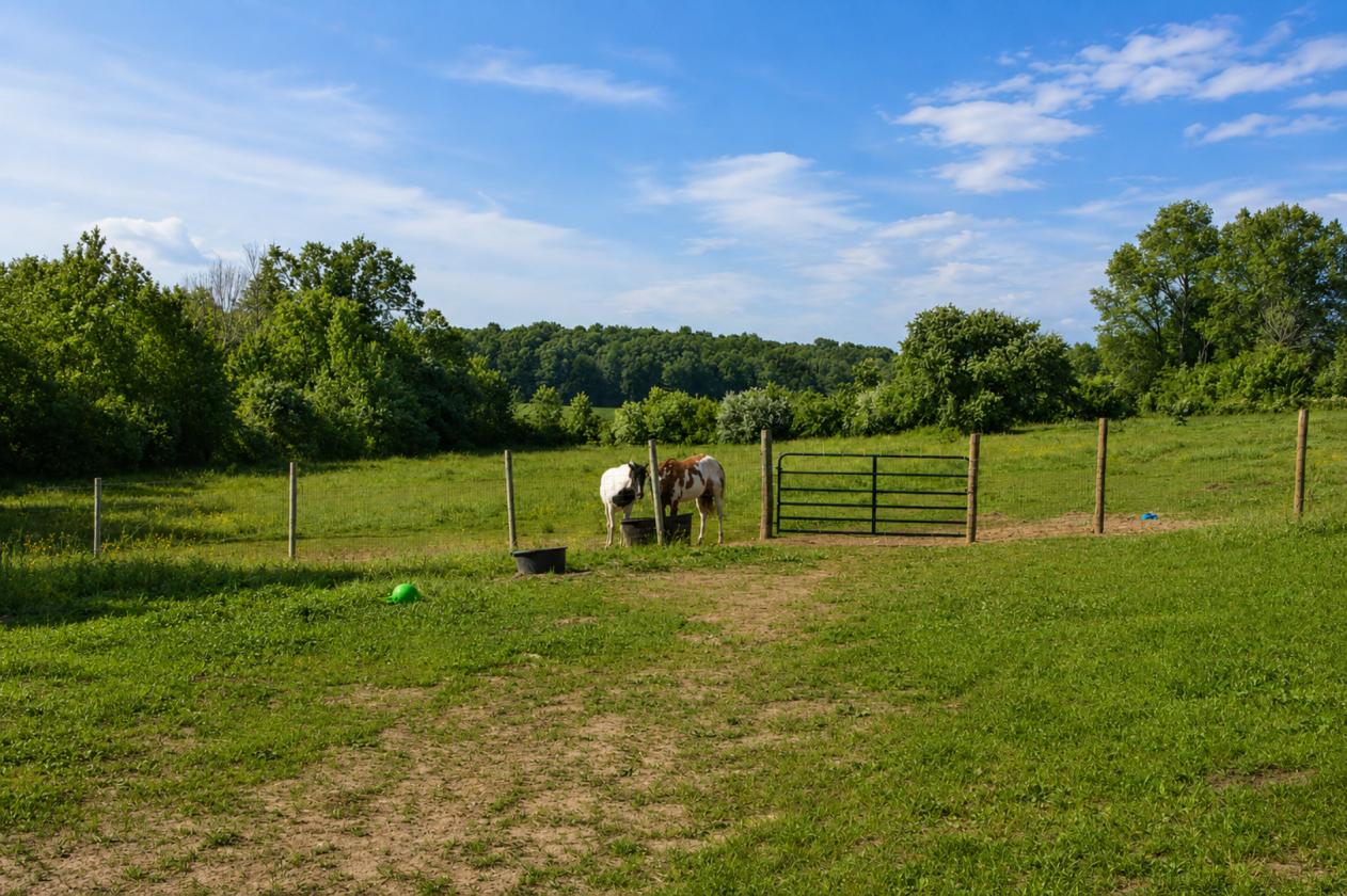 Turnkey Horse Farm on 59 Acres - photo 23