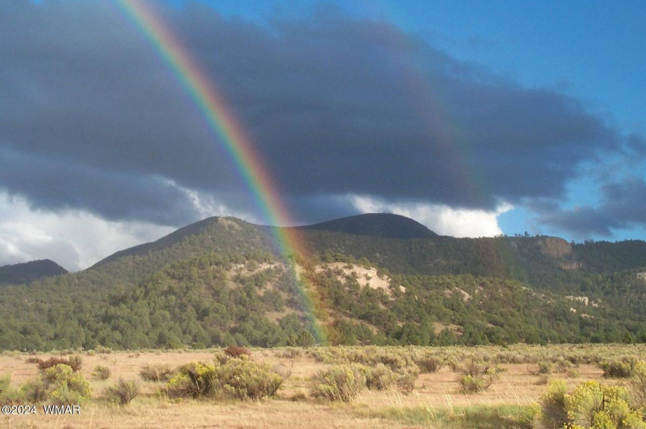 Self-sufficient 40 acre Ranch borders Nat'l Forest - photo 11