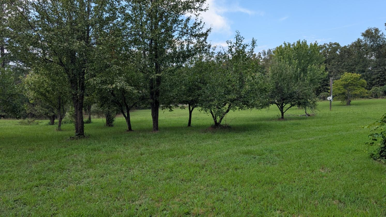 Homesteader's Paradise - photo 24