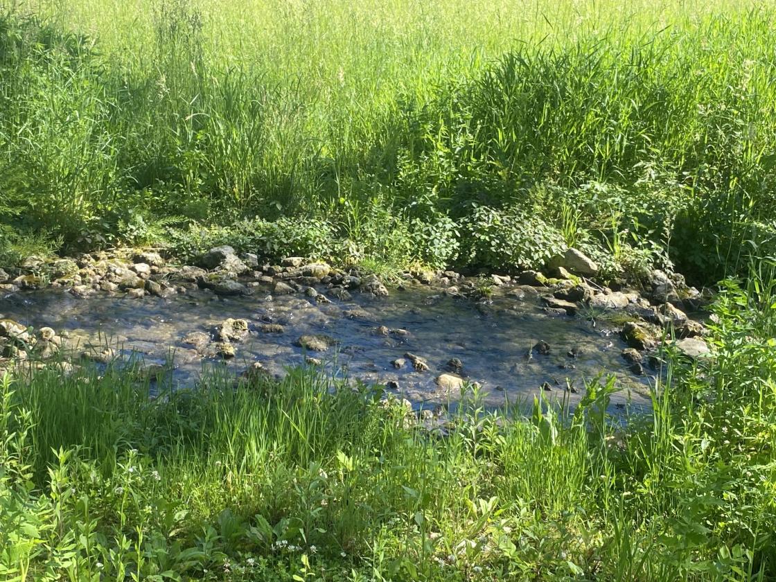Deep River Farm - photo 5
