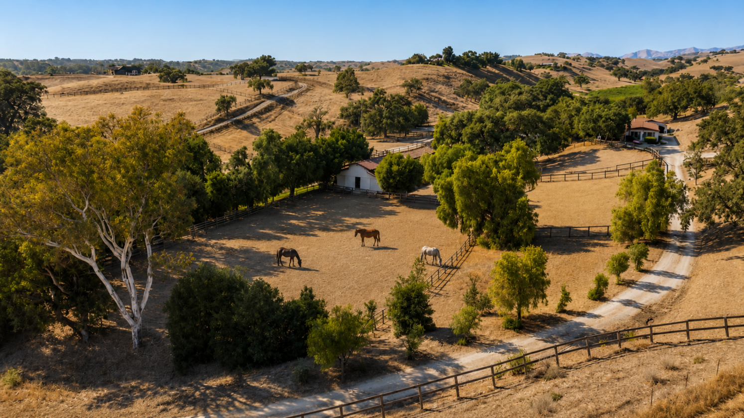 Rancho Cuerno Largo: a luxury equestrian estate - photo 18