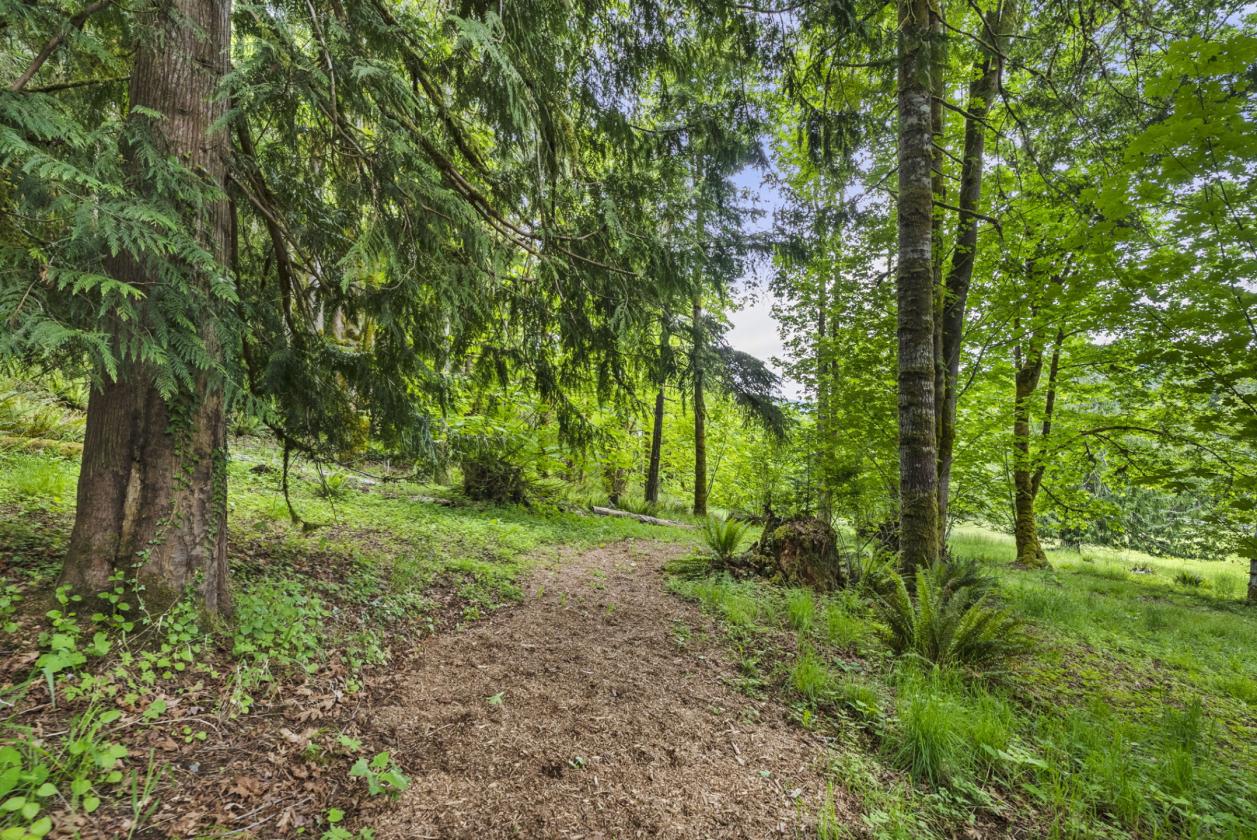 6.75 Acres of NW pastureland and endless trails - photo 28