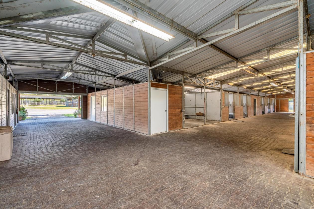 Where World-Class Pinot Meets Premier Equestrian - photo 16