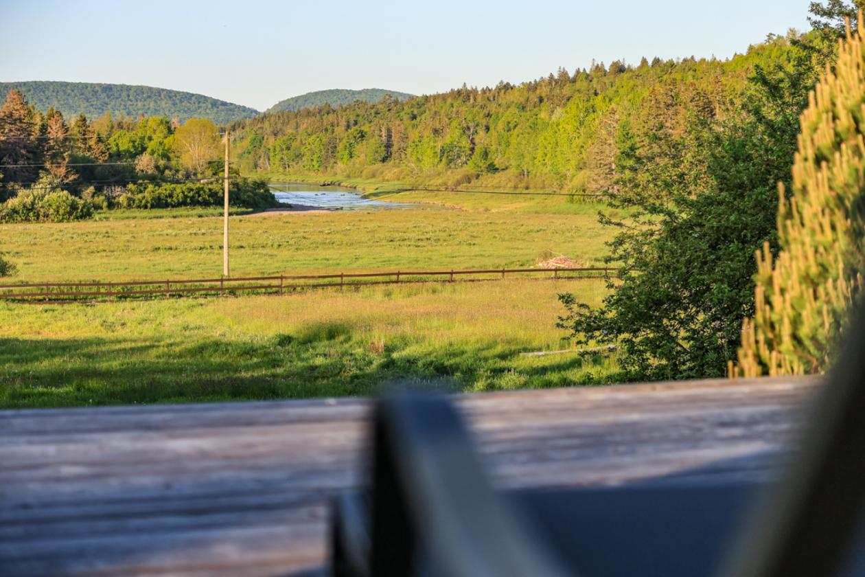 40 Acre Equestrian Property with Indoor Arena - photo 28