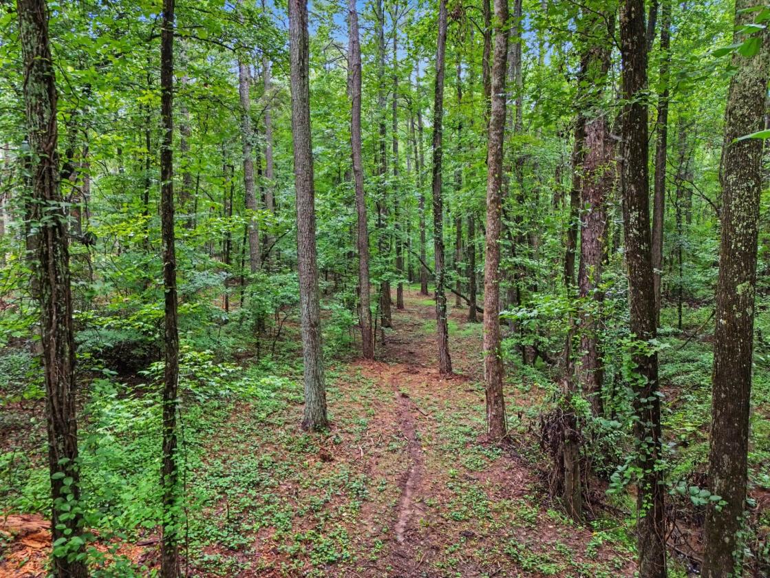 Turnkey Equestrian Property on 11+ Acres - photo 28