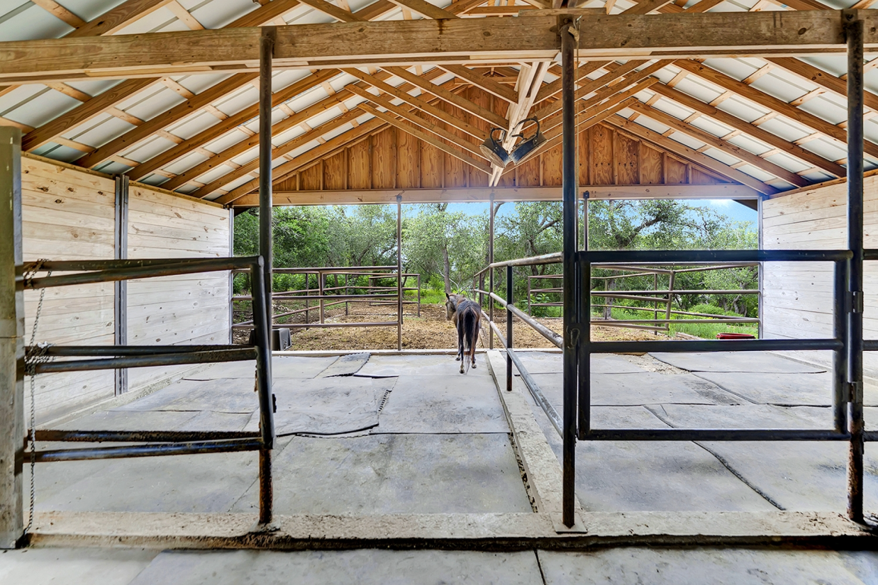 Some Properties are Just Land - photo 9