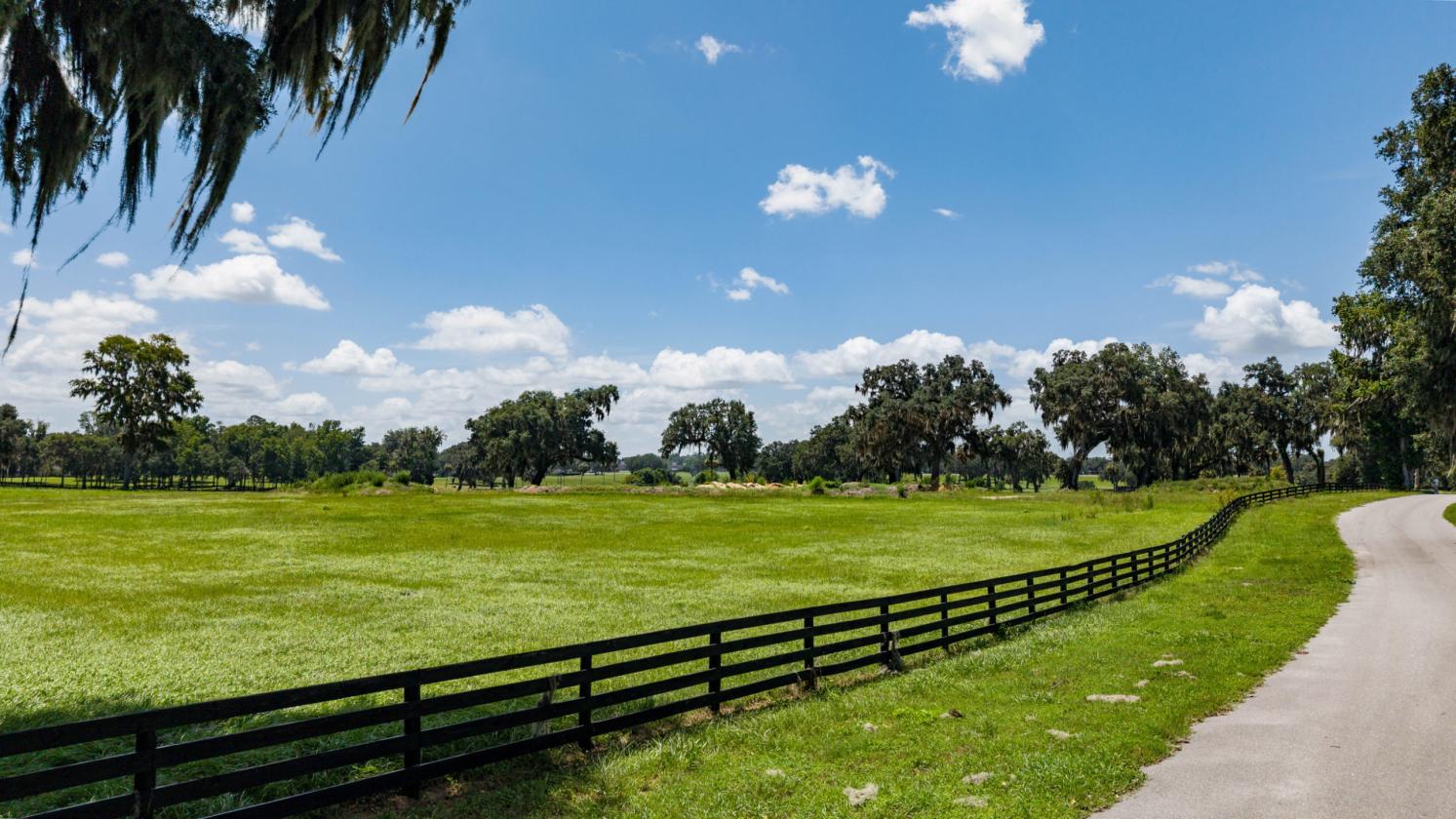Equestrian home site with incredible view - photo 16